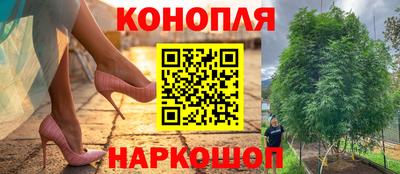 прущий лед Бердск