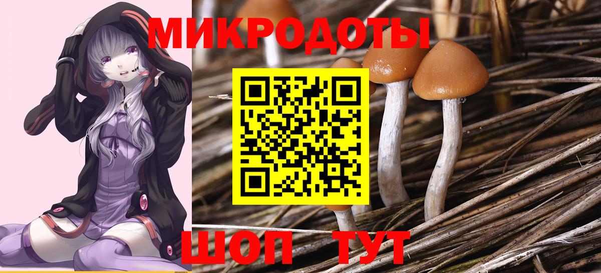 Псков  Галлюциногенные грибы MAGIC MUSHROOMS  Вход с VPN 