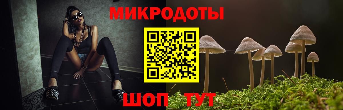 Псилоцибиновые грибы Psilocybe Псков